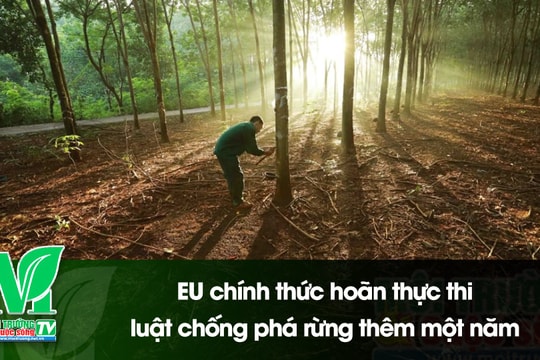 [VIDEO] EU chính thức hoãn thực thi luật chống phá rừng thêm một năm