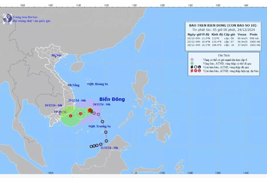Dự báo bão số 10 ít có khả năng ảnh hưởng đến đất liền nước ta