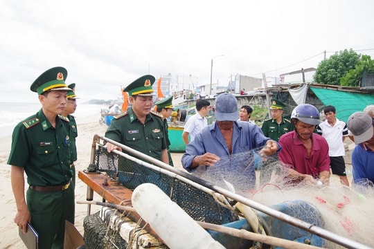 Chống khai thác IUU: Hàng nghìn tàu cá ở Bà Rịa – Vũng Tàu đã cập nhật đầy đủ thông tin