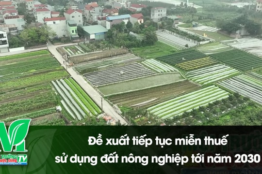 [VIDEO] Đề xuất tiếp tục miễn thuế sử dụng đất nông nghiệp tới năm 2030