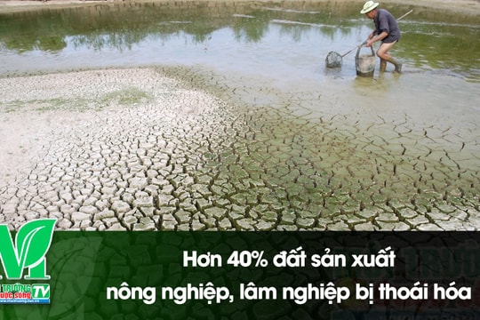 [VIDEO] Hơn 40% đất sản xuất nông nghiệp, lâm nghiệp bị thoái hóa