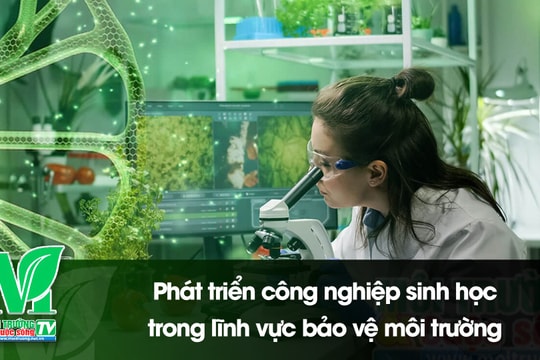 [VIDEO] Phát triển công nghiệp sinh học trong lĩnh vực bảo vệ môi trường