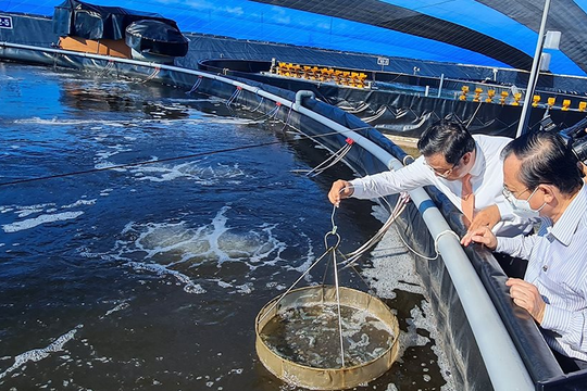 Điều chỉnh quy chuẩn về nước thải công nghiệp, hạn chế ô nhiễm trong nuôi trồng thủy sản