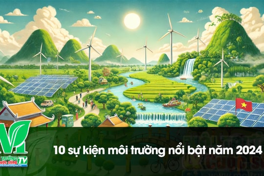 [VIDEO] 10 sự kiện môi trường nổi bật năm 2024