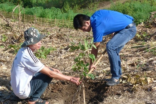 Long An: Đẩy mạnh công tác quản lý, bảo vệ rừng trong năm 2024