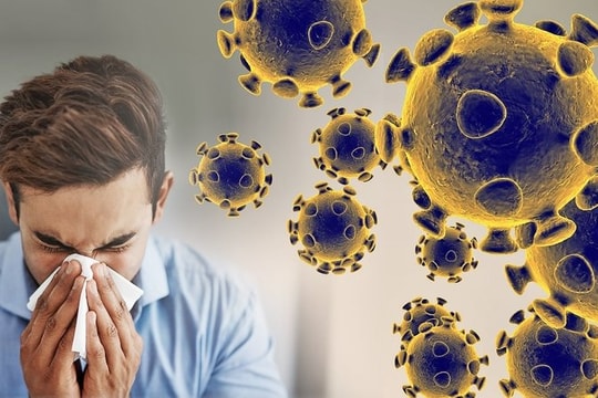 Bộ Y tế thông tin về các trường hợp mắc bệnh do virus gây viêm phổi trên người tại Trung Quốc