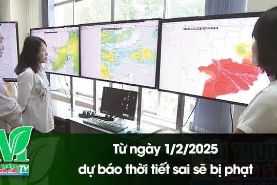 [VIDEO] Từ ngày 1/2/2025, dự báo thời tiết sai sẽ bị phạt