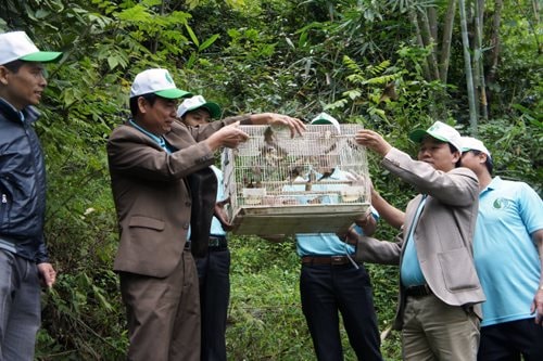 Lạng Sơn nỗ lực bảo tồn đa dạng sinh học và các loài hoang dã