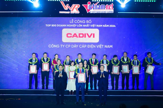 Hệ thống GELEX có 3 doanh nghiệp thuộc top VNR 500