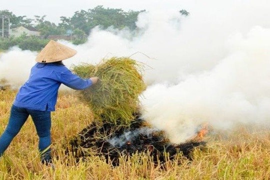 Báo động ô nhiễm tại nông thôn miền Bắc, mức bụi mịn vượt chuẩn nhiều lần