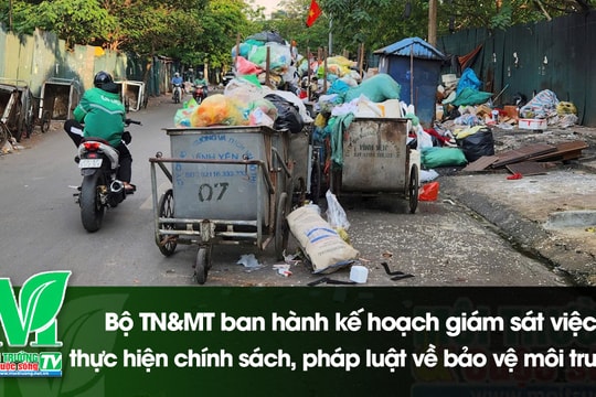 [VIDEO] Bộ TN&MT ban hành kế hoạch giám sát việc thực hiện chính sách, pháp luật về bảo vệ môi trường