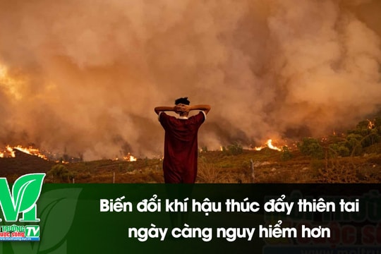 [VIDEO] Biến đổi khí hậu thúc đẩy thiên tai ngày càng nguy hiểm hơn