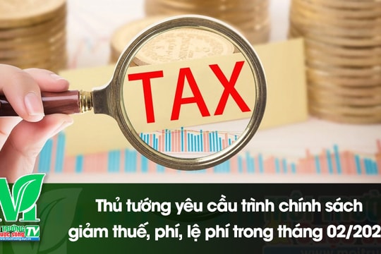 [VIDEO] Thủ tướng yêu cầu trình chính sách giảm thuế, phí, lệ phí trong tháng 02/2025