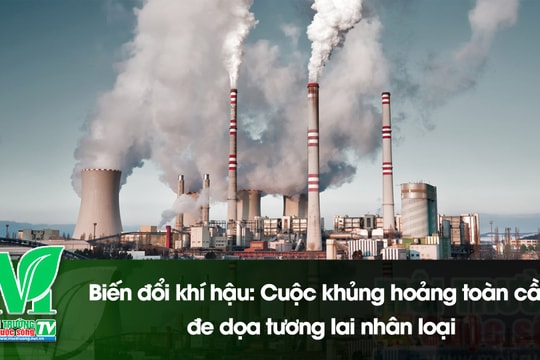 [VIDEO] Trong năm 2024, tốc độ tăng CO2 đạt mức cao kỷ lục trong lịch sử