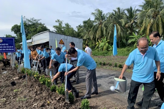 Phân loại rác thải tại nguồn: Nhiều tỉnh thành đã triển khai các chương trình thí điểm