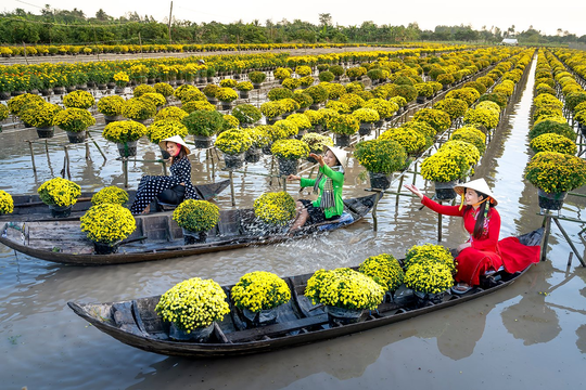 Tản mạn tết miền Tây