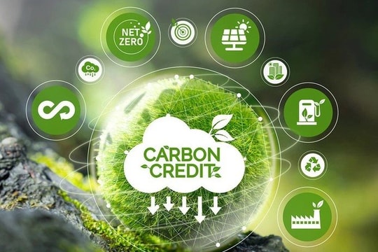 Phát triển thị trường tín chỉ carbon tại Việt Nam: Cần tạo điều kiện cho doanh nghiệp tham gia