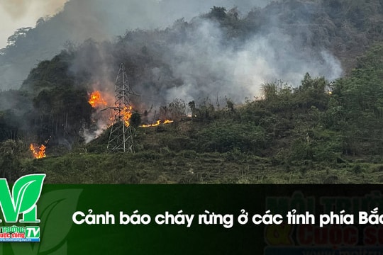 [VIDEO] Cảnh báo cháy rừng ở các tỉnh phía Bắc