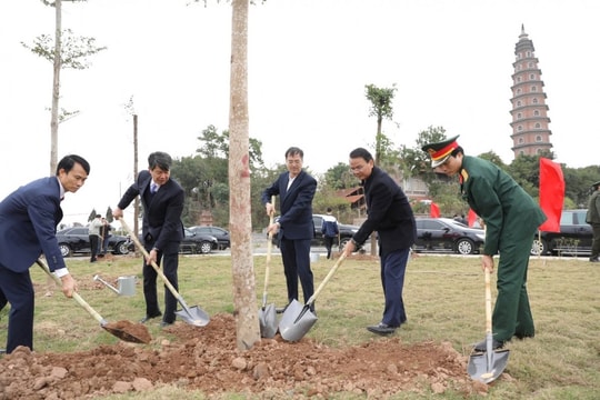 Vĩnh Phúc phát động Tết trồng cây "Đời đời nhớ ơn Bác Hồ” xuân Ất Tỵ 2025