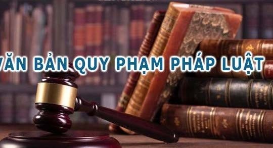 Ban hành văn bản trái pháp luật, người đứng đầu phải chịu trách nhiệm