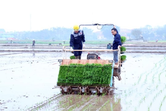 Chủ động nguồn nước, bảo đảm tưới đủ cho toàn bộ diện tích gieo cấy