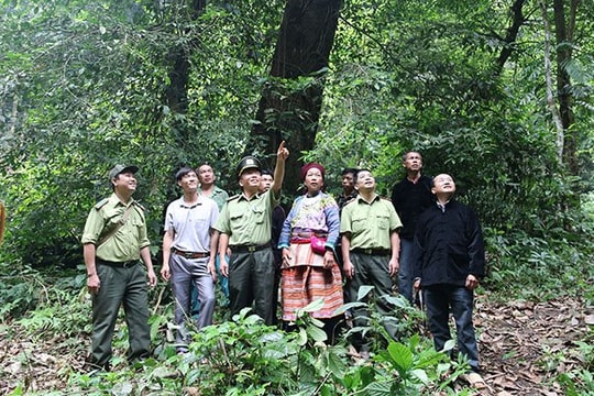 Yên Bái triển khai quy hoạch bảo tồn đa dạng sinh học: Hài hòa giữa bảo tồn và phát triển