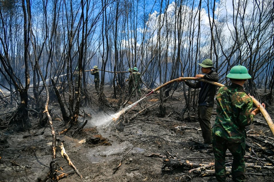 Kiên Giang: Cảnh báo về nguy cơ cháy rừng gia tăng trong mùa khô năm 2025