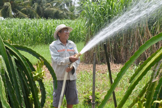 Tiền Giang chủ động phòng, chống dịch bệnh trên cây trồng và vật nuôi