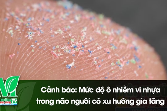 [VIDEO] Cảnh báo: Mức độ ô nhiễm vi nhựa trong não người có xu hướng gia tăng