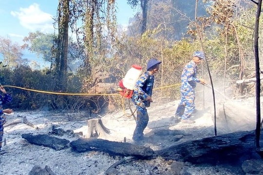 Hơn 6.770 ha rừng ở Vườn quốc gia Phú Quốc có nguy cơ cao xảy ra cháy