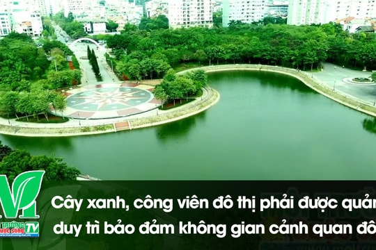 [VIDEO] Cây xanh, công viên đô thị phải được quản lý, duy trì bảo đảm không gian cảnh quan đô thị