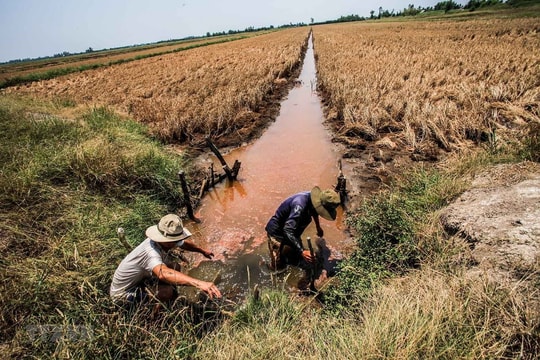 Chủ động ứng phó xâm nhập mặn tại các tỉnh ĐBSCL