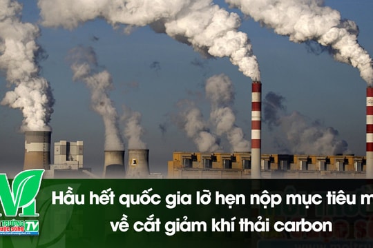 [VIDEO] Hầu hết quốc gia lỡ hẹn nộp mục tiêu mới về cắt giảm khí thải carbon