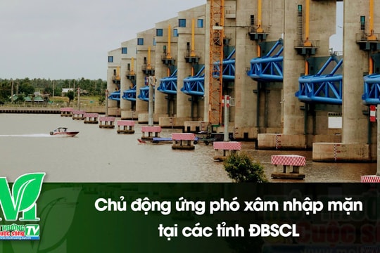 [VIDEO] Chủ động ứng phó xâm nhập mặn tại các tỉnh ĐBSCL