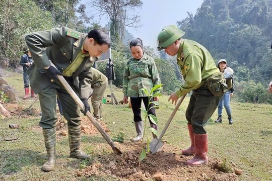 Bắc Kạn: Toàn tỉnh quyết tâm trồng mới 3.500 ha rừng trong năm 2025