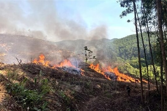 Hà Tĩnh: Tăng cường các biện pháp cấp bách phòng cháy, chữa cháy rừng