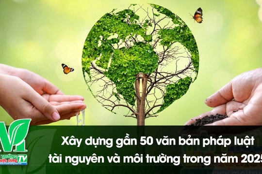 [VIDEO] Xây dựng gần 50 văn bản pháp luật tài nguyên và môi trường trong năm 2025