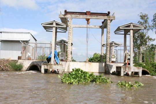 Đồng bằng sông Cửu Long ứng phó xâm nhập mặn, chủ động tích trữ nước ngọt