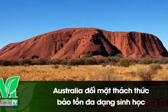 [VIDEO] Australia đối mặt thách thức bảo tồn đa dạng sinh học