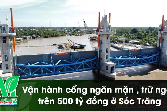 [VIDEO] Vận hành cống ngăn mặn, trữ ngọt trên 500 tỉ đồng ở Sóc Trăng