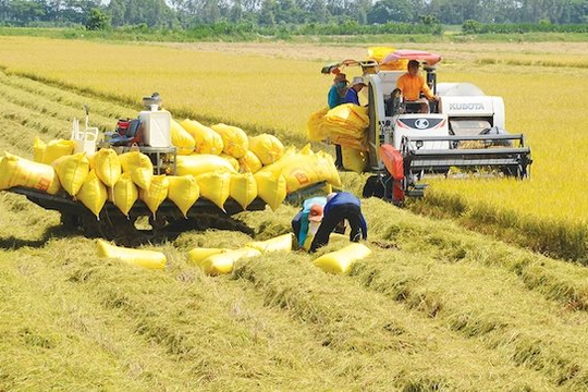 Khủng hoảng khí hậu ngày càng cực đoan, ảnh hưởng nghiêm trọng đến an ninh khu vực