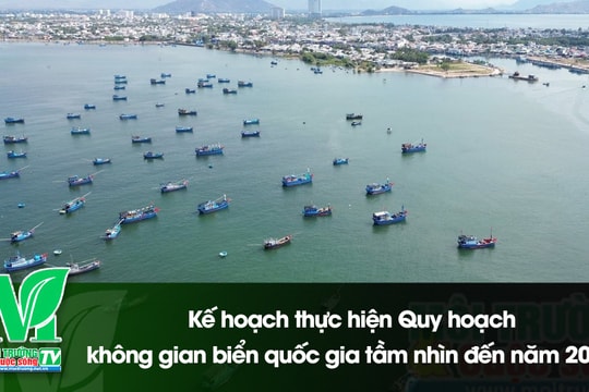 [VIDEO] Kế hoạch thực hiện Quy hoạch không gian biển quốc gia tầm nhìn đến năm 2050