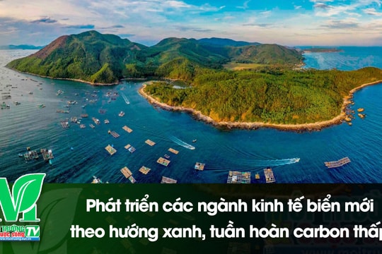 [VIDEO] Phát triển các ngành kinh tế biển mới, theo hướng xanh, tuần hoàn carbon thấp