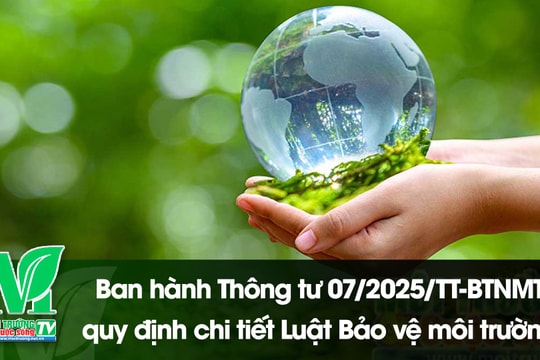 [VIDEO] Ban hành Thông tư 07/2025/TT-BTNMT quy định chi tiết Luật Bảo vệ môi trường