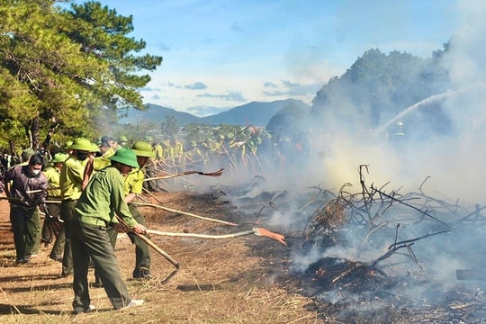 Gia Lai: Thực hiện phương châm “4 tại chỗ” trong công tác phòng cháy, chữa cháy rừng