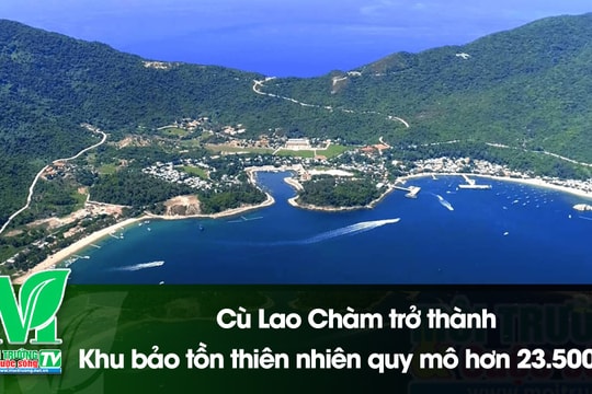 [VIDEO] Cù Lao Chàm trở thành Khu bảo tồn thiên nhiên quy mô hơn 23.500 ha