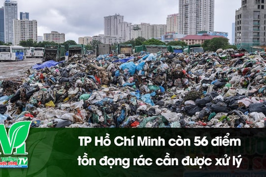 [VIDEO] TP Hồ Chí Minh còn 56 điểm tồn đọng rác cần được xử lý