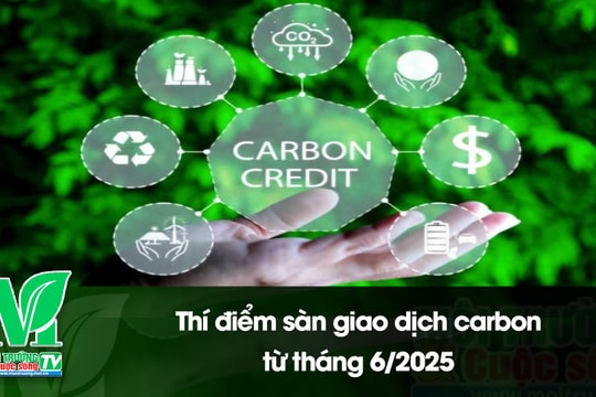 [VIDEO] Thí điểm sàn giao dịch carbon từ tháng 6/2025