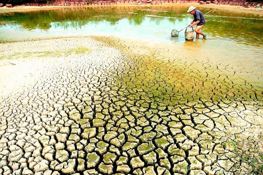 Bộ Nông nghiệp và Môi trường báo cáo Thủ tướng tình trạng xâm nhập mặn ở Đồng bằng sông Cửu Long