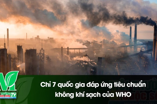 [VIDEO] Chỉ 7 quốc gia đáp ứng tiêu chuẩn không khí sạch của WHO